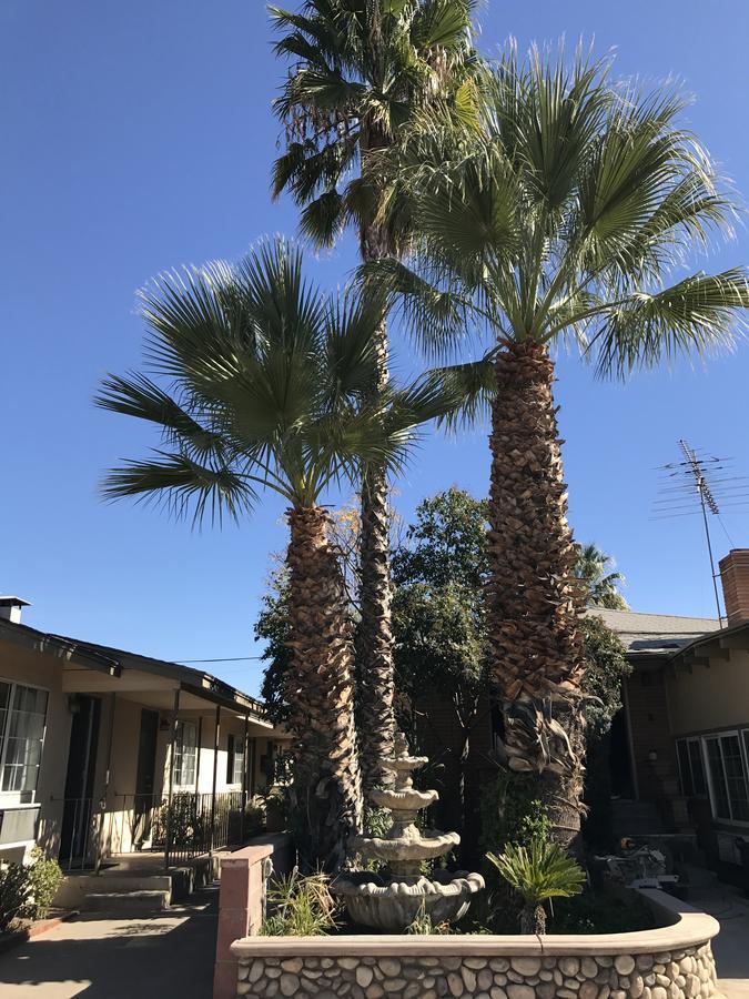 לייק אלסינור Elsinore Hotsprings Motel מראה חיצוני תמונה